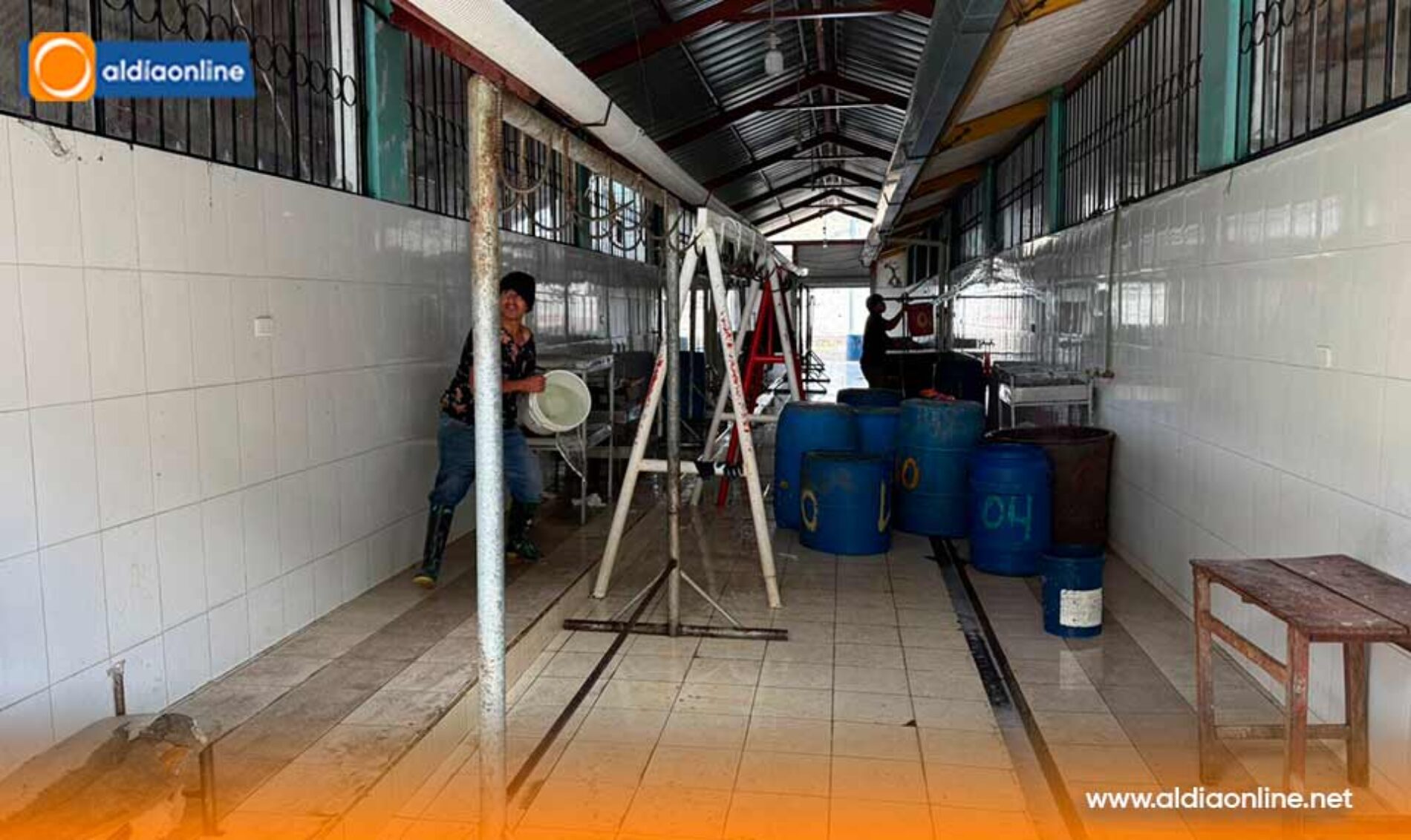 CAMAL MUNICIPAL DE SAQUISILÍ RECIBIÓ UNA LIMPIEZA Y DESINFECCIÓN PROFUNDA EN LAS NAVES DE EXPENDIO DE CARNE