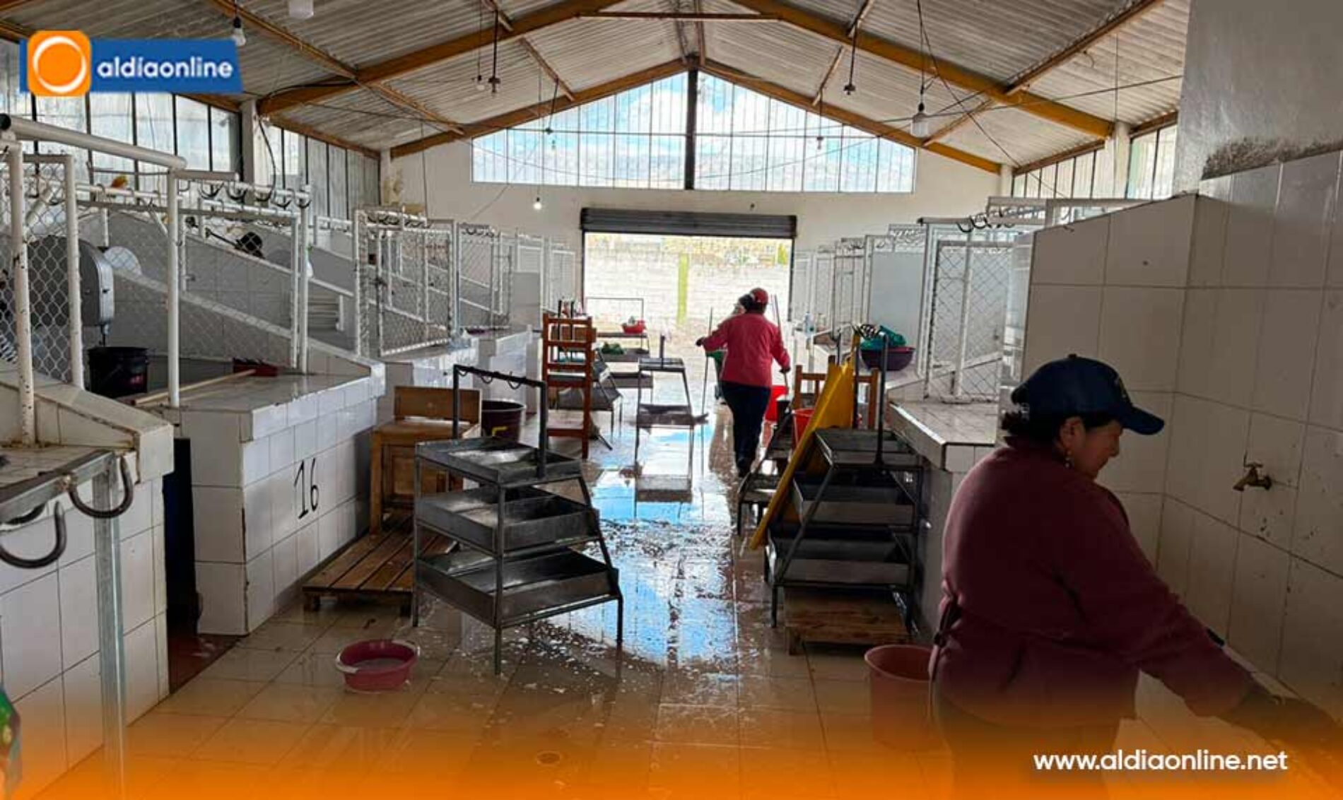 CAMAL MUNICIPAL DE SAQUISILÍ RECIBIÓ UNA LIMPIEZA Y DESINFECCIÓN PROFUNDA EN LAS NAVES DE EXPENDIO DE CARNE