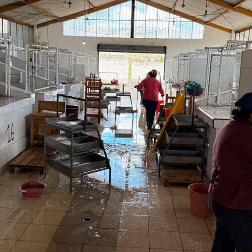 CAMAL MUNICIPAL DE SAQUISILÍ RECIBIÓ UNA LIMPIEZA Y DESINFECCIÓN PROFUNDA EN LAS NAVES DE EXPENDIO DE CARNE