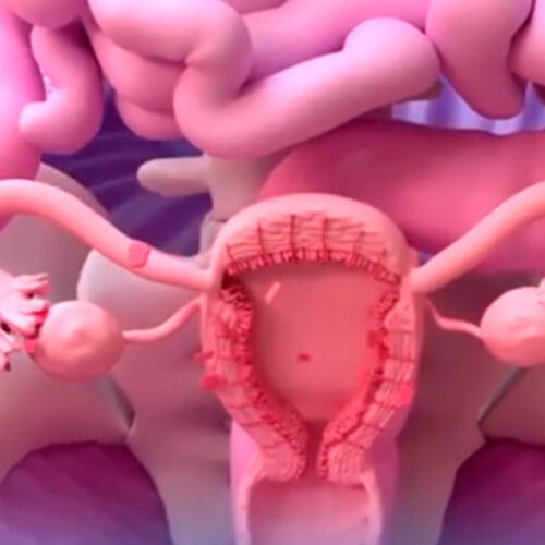 CENTRO DE SALUD TIPO “B” DEL PATRONATO DE SALCEDO OFRECE ATENCIÓN EN OBSTETRICIA