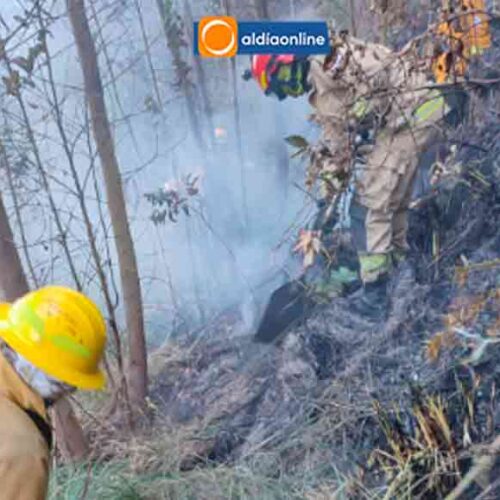 INCENDIO FORESTAL EN LA HACIENDA JILINGUA FUE CONTROLADO POR BOMBEROS DE LATACUNGA
