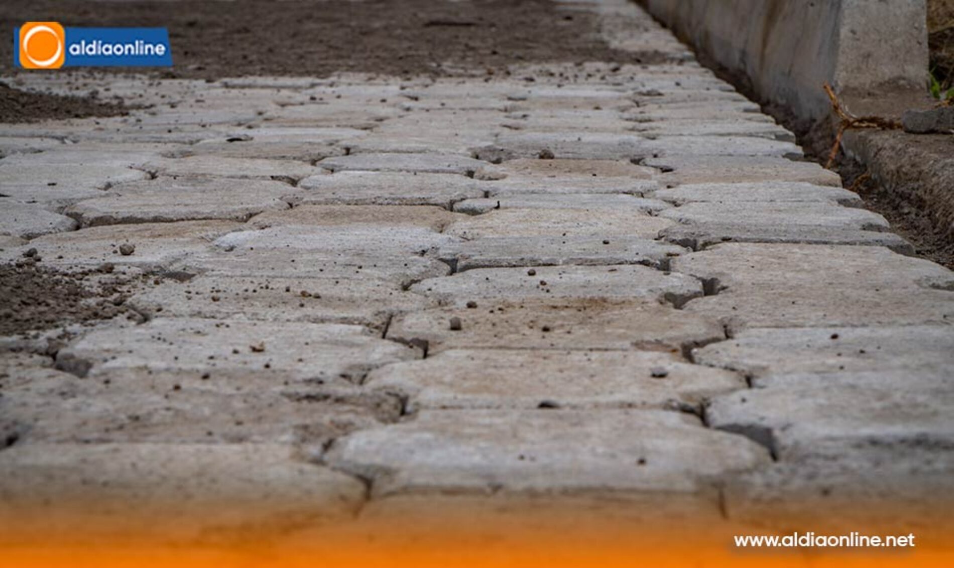 MÁS DE 1.500 FAMILIAS CELEBRAN EL ADOQUINADO DE LA CALLE LAS ORQUÍDEAS EN BELISARIO QUEVEDO