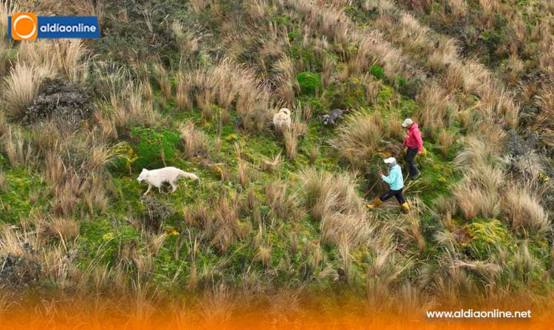 INCENDIO FORESTAL EN LA RESERVA ECOLÓGICA LOS ILINIZAS FUE CONTROLADO POR EL CUERPO DE BOMBEROS DE LATACUNGA