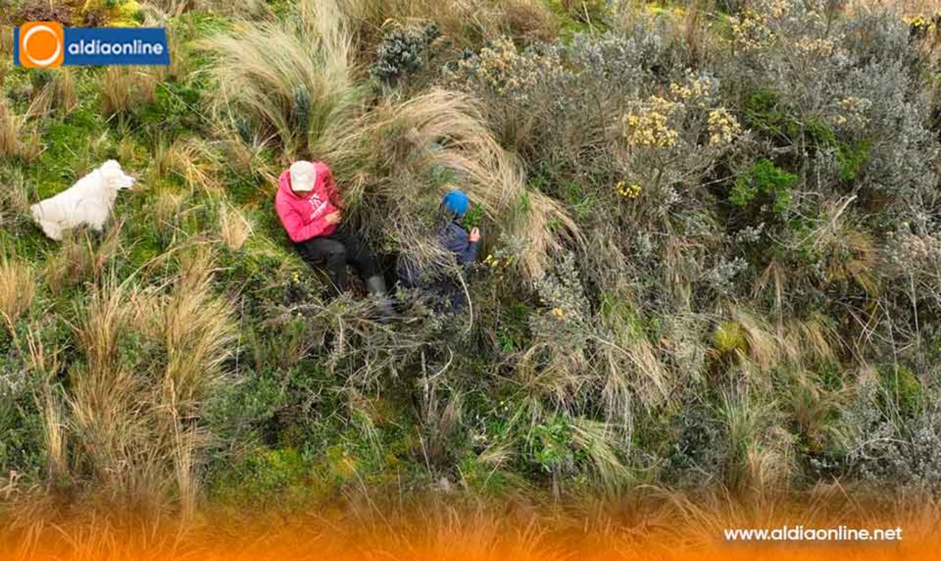 INCENDIO FORESTAL EN LA RESERVA ECOLÓGICA LOS ILINIZAS FUE CONTROLADO POR EL CUERPO DE BOMBEROS DE LATACUNGA