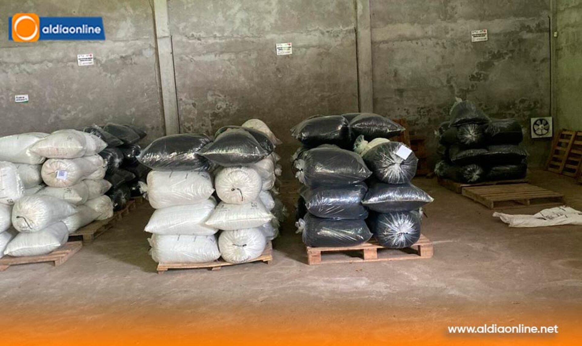 ECUADOR OCUPA EL PRIMER LUGAR ENTRE LOS GRANDES EXPORTADORES DE PRODUCTOS ORGÁNICOS A LA UNIÓN EUROPEA