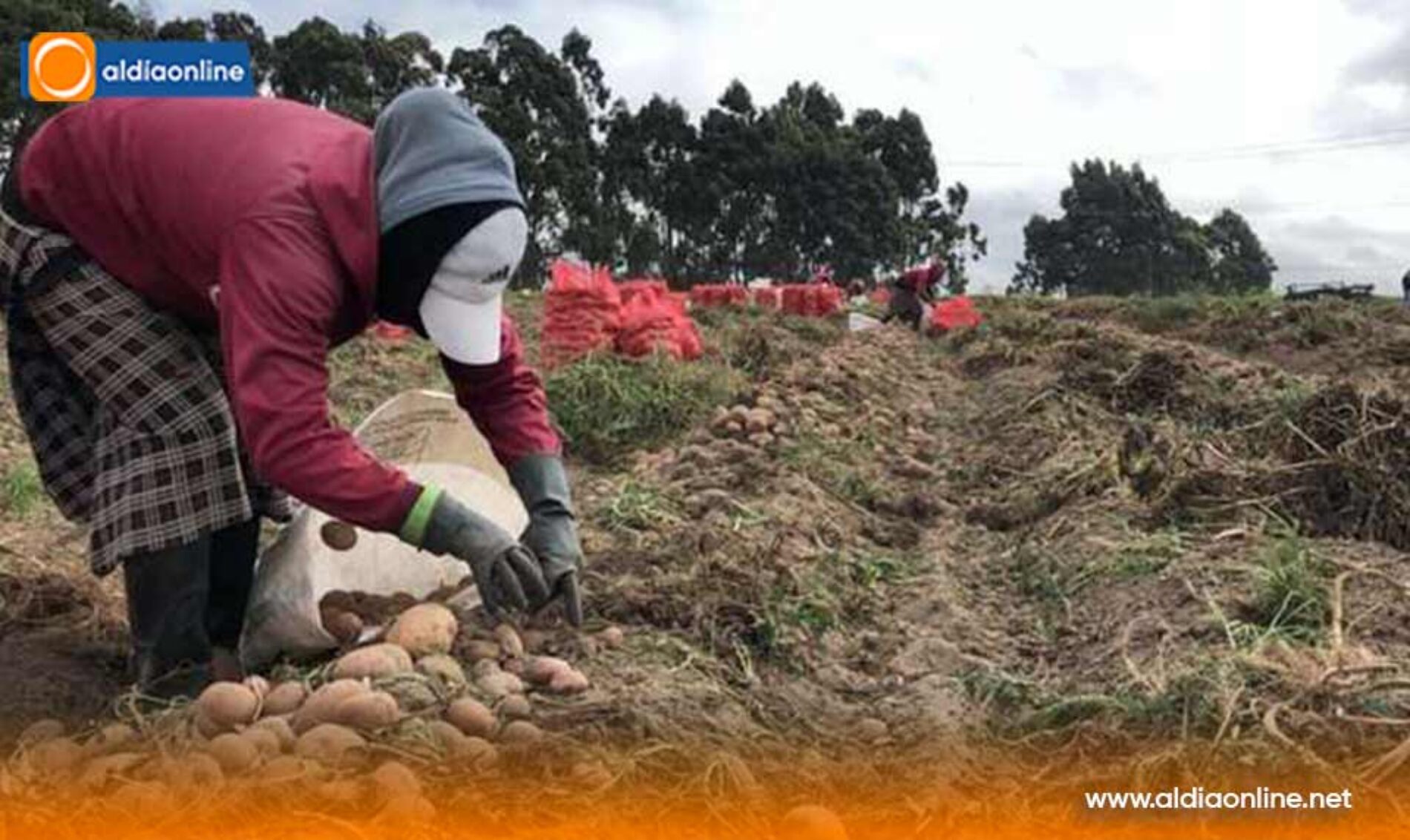 JORNADAS DE IMPULSO PRODUCTIVO FORTALECEN LA ECONOMÍA POPULAR Y SOLIDARIA EN COTOPAXI  