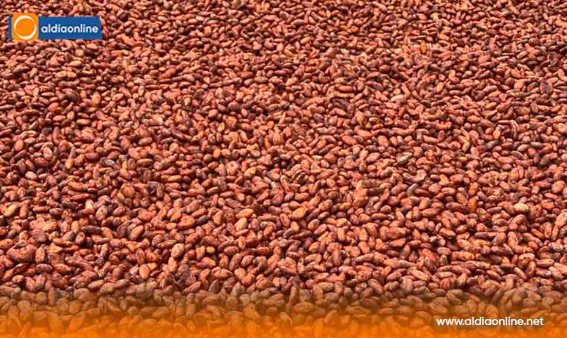 ECUADOR OCUPA EL PRIMER LUGAR ENTRE LOS GRANDES EXPORTADORES DE PRODUCTOS ORGÁNICOS A LA UNIÓN EUROPEA