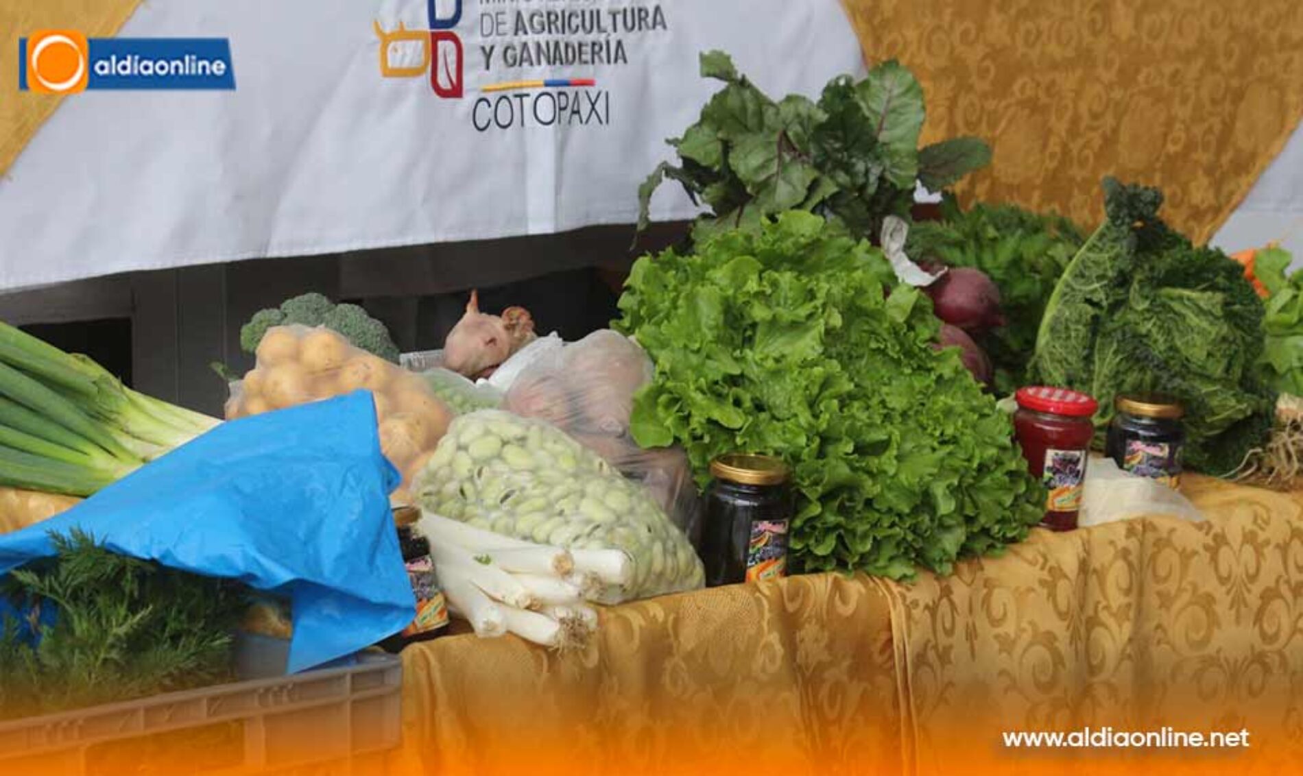 JORNADAS DE IMPULSO PRODUCTIVO FORTALECEN LA ECONOMÍA POPULAR Y SOLIDARIA EN COTOPAXI  