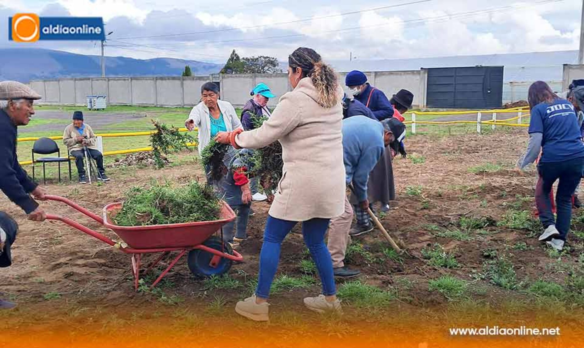 ADULTOS MAYORES DE SALCEDO PARTICIPAN EN LA SIEMBRA DE HORTALIZAS ORGÁNICAS
