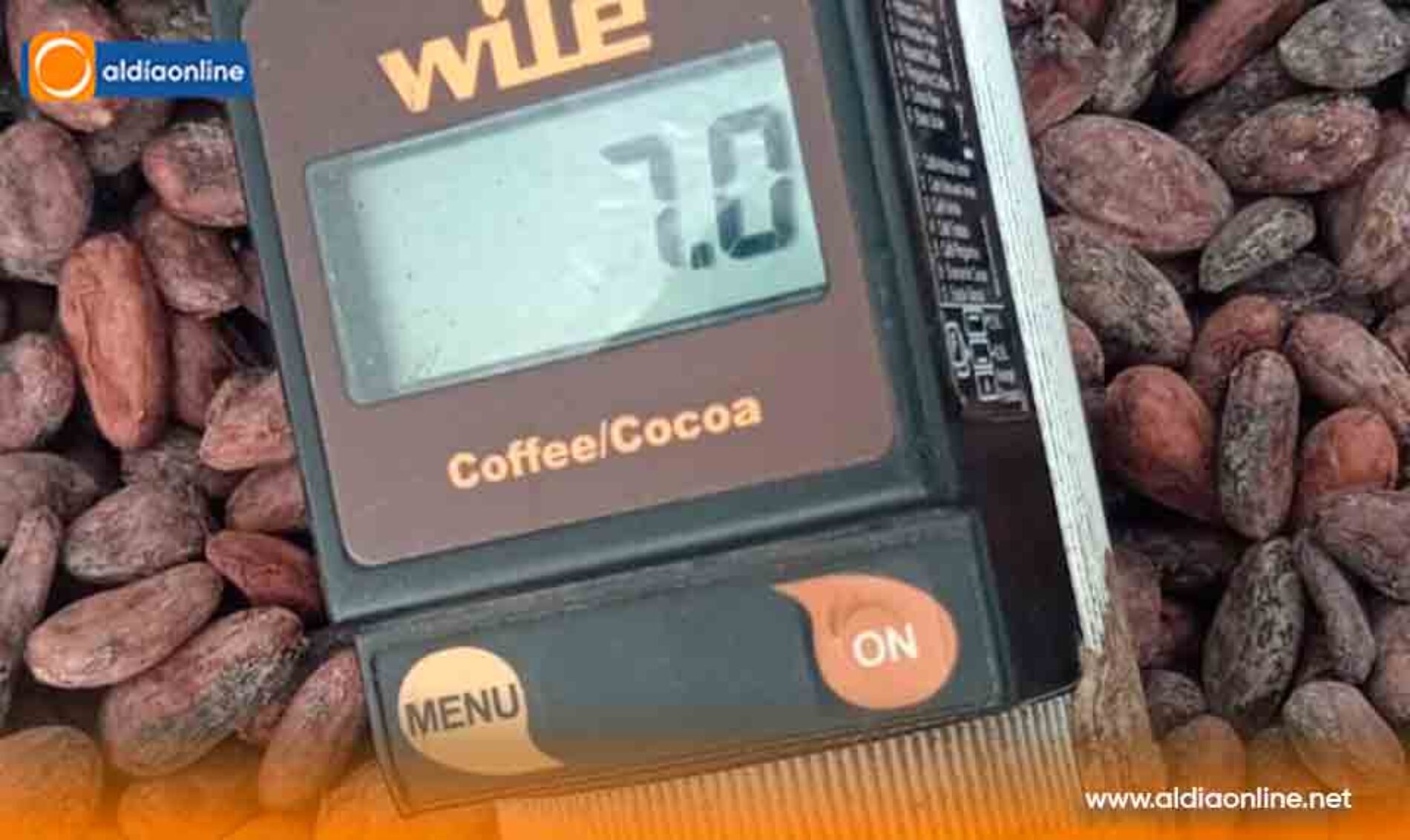 ECUADOR OCUPA EL PRIMER LUGAR ENTRE LOS GRANDES EXPORTADORES DE PRODUCTOS ORGÁNICOS A LA UNIÓN EUROPEA