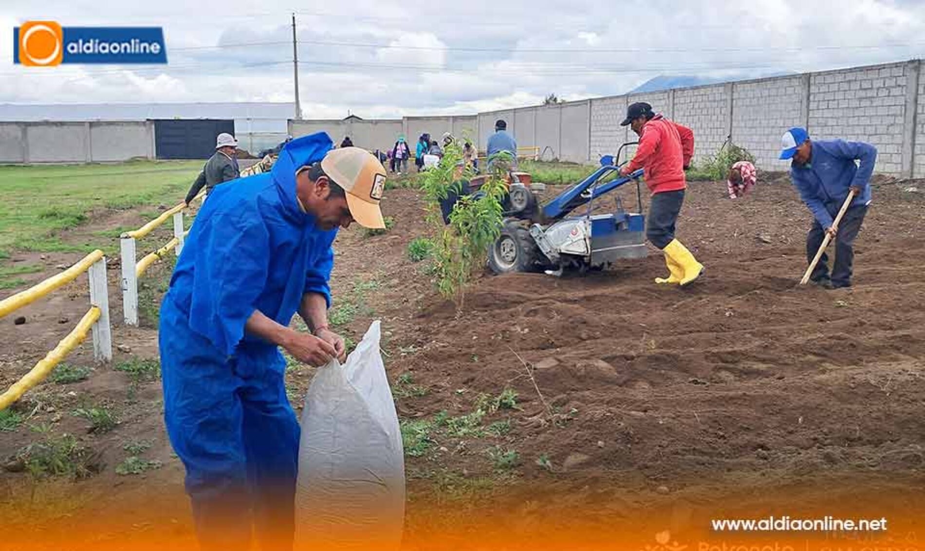 ADULTOS MAYORES DE SALCEDO PARTICIPAN EN LA SIEMBRA DE HORTALIZAS ORGÁNICAS