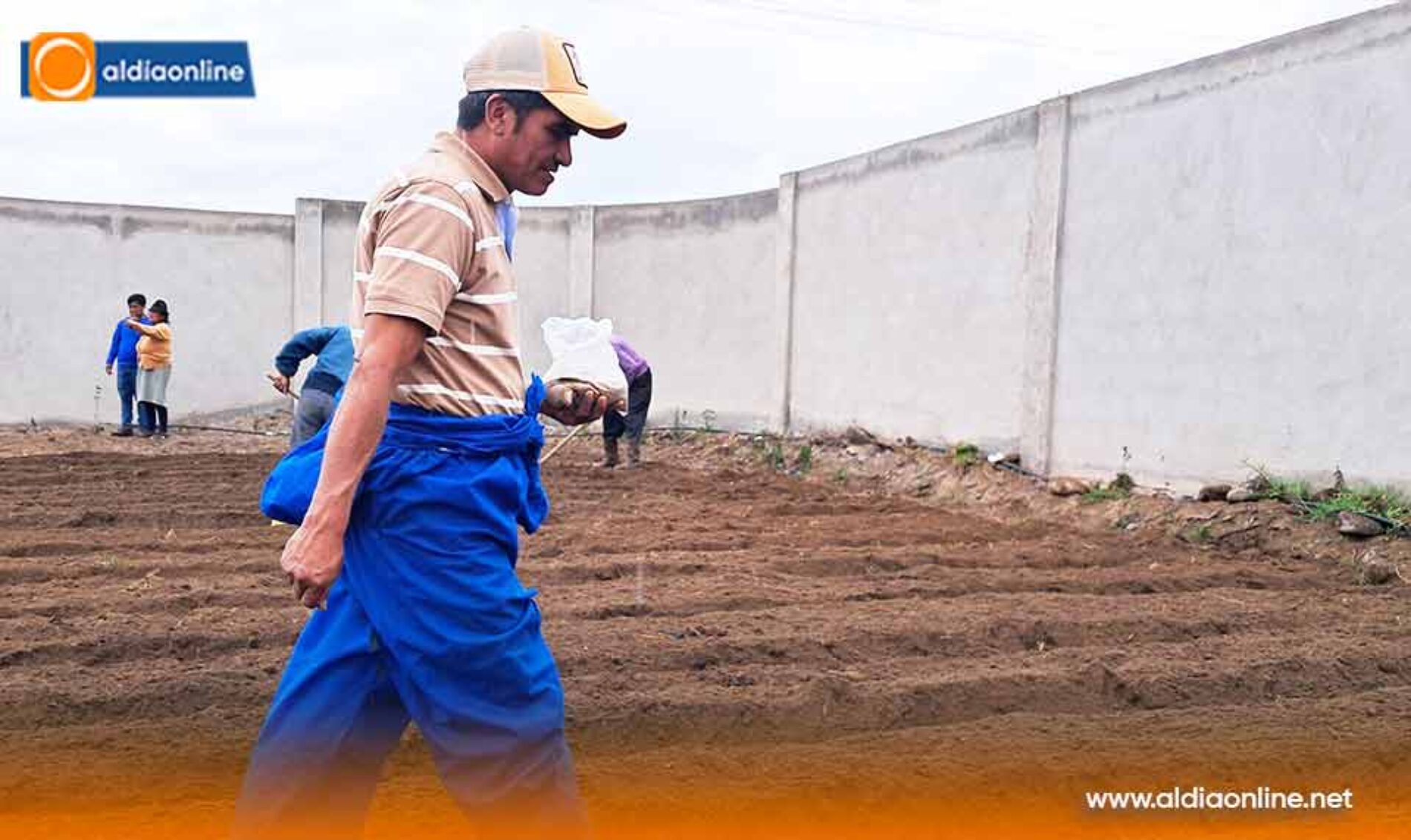 ADULTOS MAYORES DE SALCEDO PARTICIPAN EN LA SIEMBRA DE HORTALIZAS ORGÁNICAS