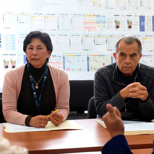 CNE APRUEBA ACTUALIZACIÓN DEL PLAN DE AUDITORÍAS PARA EL REFERÉNDUM Y CONSULTA POPULAR 2025