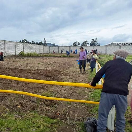 ADULTOS MAYORES DE SALCEDO PARTICIPAN EN LA SIEMBRA DE HORTALIZAS ORGÁNICAS