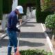 GADM.  SALCEDO EJECUTA LIMPIEZA Y EMBELLECIMIENTO DEL CEMENTERIO MUNICIPAL POR EL DÍA DE DIFUNTOS