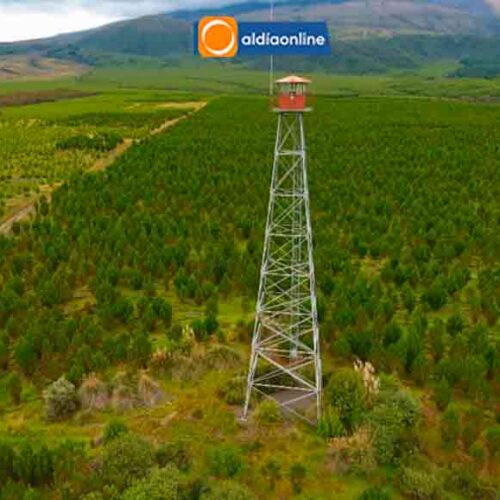 AGLOMERADOS COTOPAXI REDUCE EN MÁS DEL 90% EL IMPACTO DE LOS INCENDIOS FORESTALES