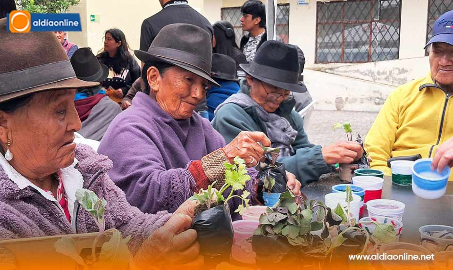 ADULTOS MAYORES DE SALCEDO DISFRUTAN JORNADA RECREATIVA Y EDUCATIVA EN LA UNIVERSIDAD TÉCNICA DE COTOPAXI