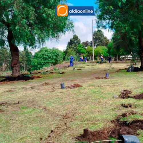MUNICIPIO IMPULSA SEGUNDA ETAPA DEL PROGRAMA “SEMBRANDO SUEÑOS” PARA RECUPERAR ÁREAS VERDES Y RIBERAS DE RÍOS (VIDEO)