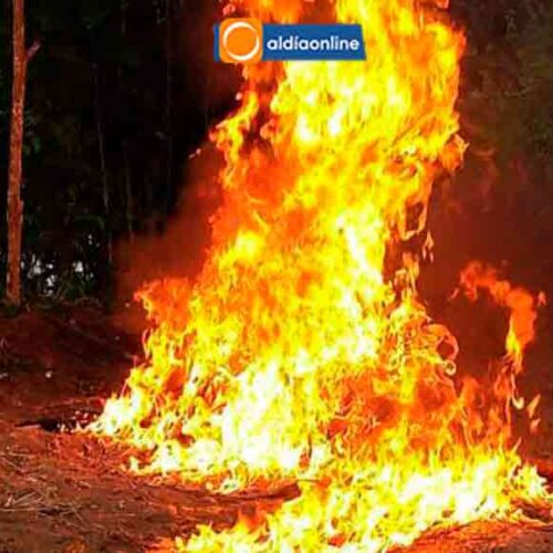 GOLPE CONTUNDENTE DEL EJÉRCITO ECUATORIANO A LA MINERÍA ILEGAL EN GUALAQUIZA-MORONA SANTIAGO