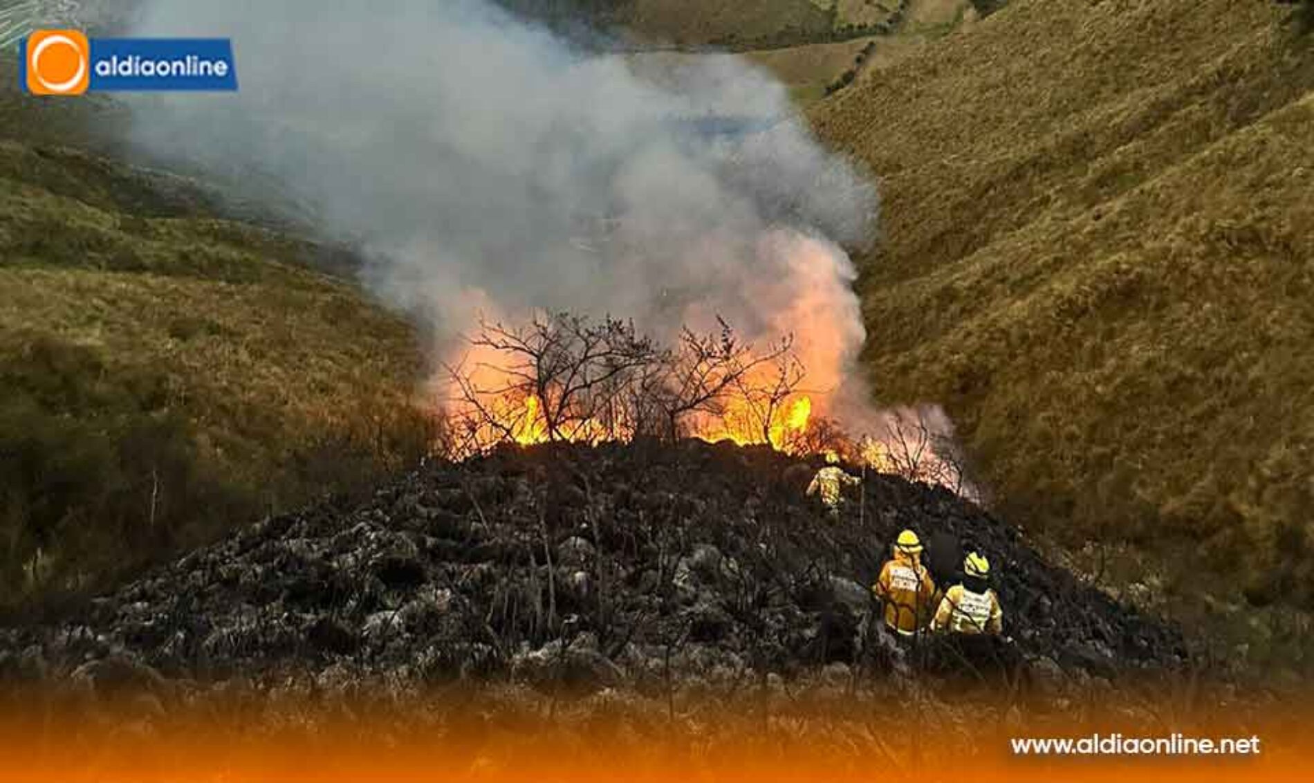 BOMBEROS DE LA COMPAÑÍA X3-NINTINACAZO CONTROLAN QUEMA FORESTAL EN EL CERRO PUTZALAHUA