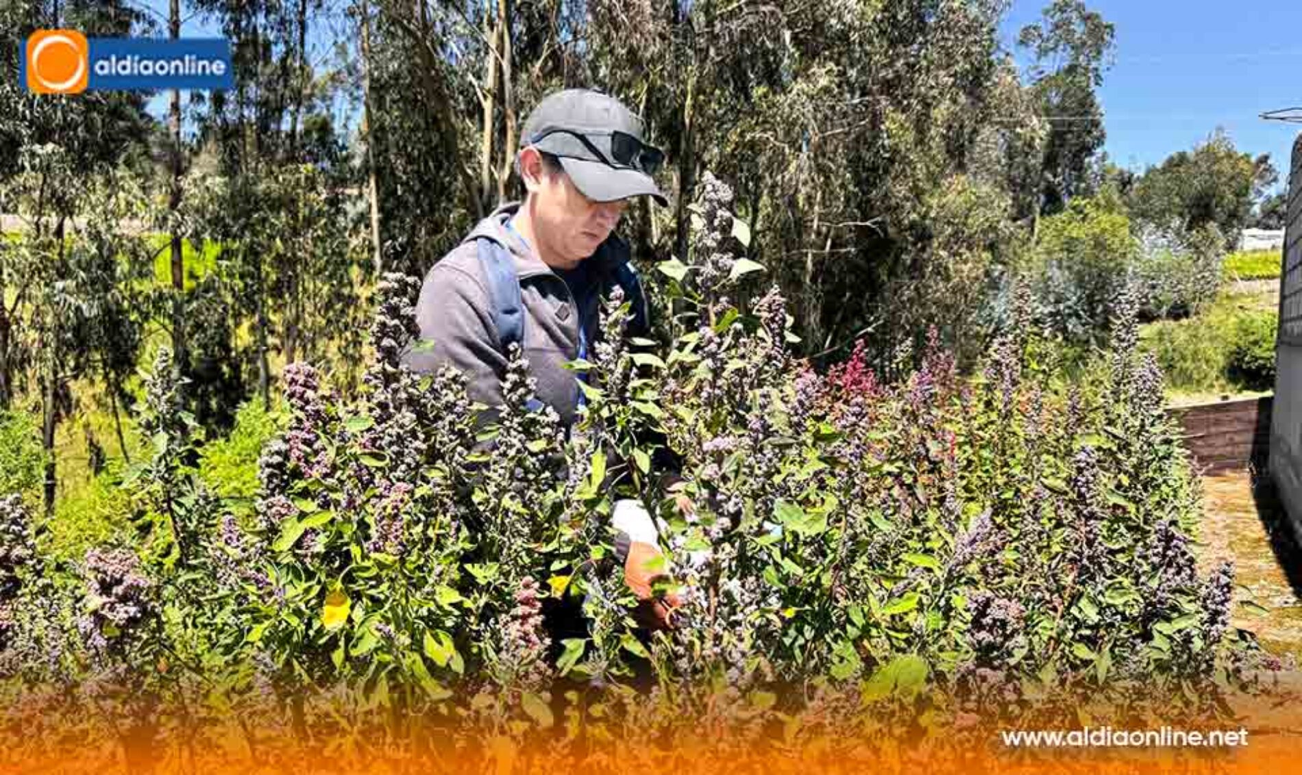 PREFECTURA DE COTOPAXI IMPULSA PROYECTO “SINCHI AYLLUKUNA” PARA COMBATIR LA DESNUTRICIÓN INFANTIL EN PASTOCALLE