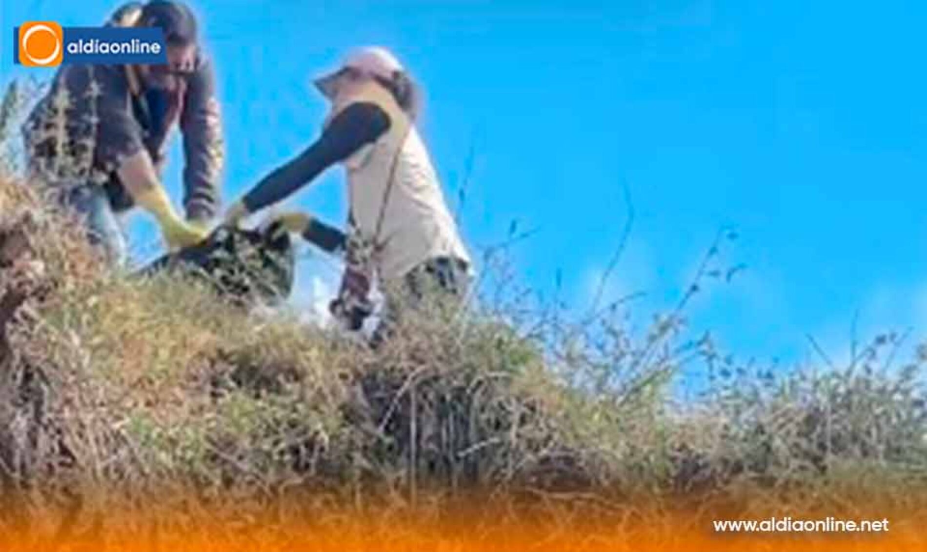 Prefectura de Cotopaxi lideró minga ambiental en el Compadre Wayku de Salcedo