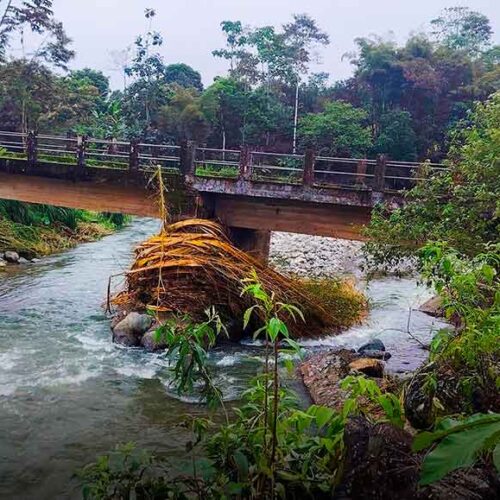 PUJILÍ REFUERZA ACCIONES PREVENTIVAS ANTE AFECTACIONES POR LLUVIAS EN TINGO LA ESPERANZA