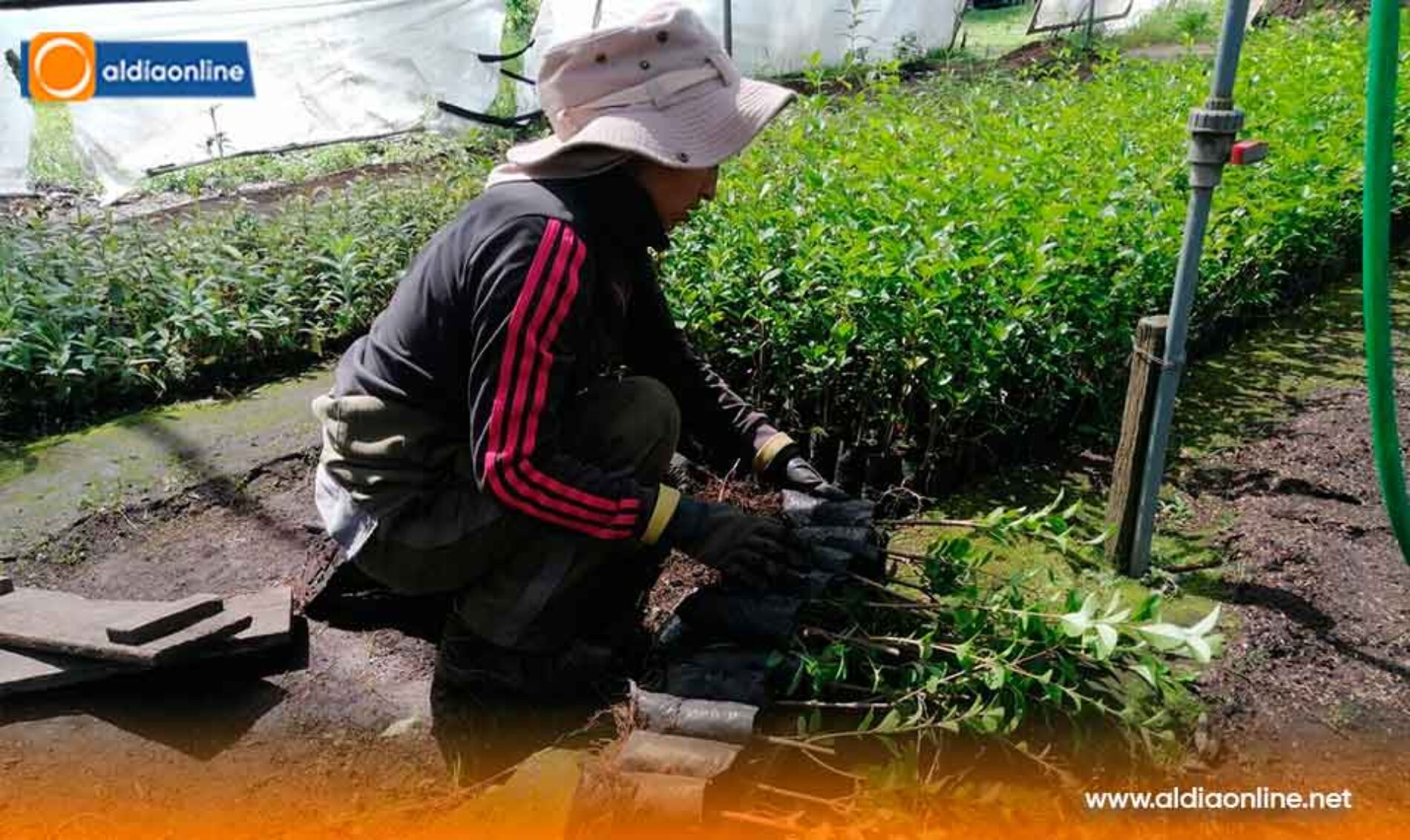 EN SAQUISILÍ, LA CONCIENCIA AMBIENTAL SE APRENDE Y SE CULTIVA
