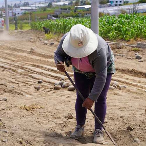 TRABAJO CONJUNTO IMPULSA EL MEJORAMIENTO VIAL EN LA COMUNIDAD SANTA ISABEL, LÍMITE ENTRE CUSUBAMBA Y MULALILLO