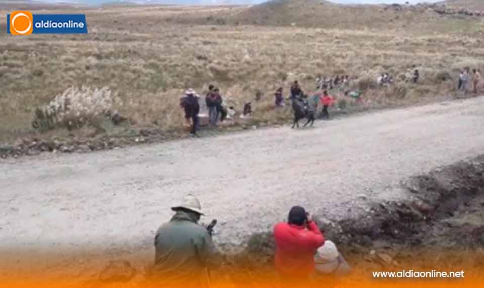 SALCEDO CONMEMORARÁ EL DÍA MUNDIAL DE LOS HUMEDALES CON LA TRADICIONAL LLAMINGADA EN EL PARQUE NACIONAL LLANGANATES