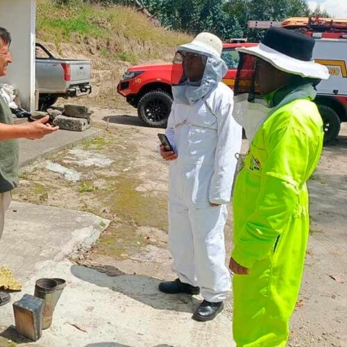BOMBEROS DE LATACUNGA SE CAPACITAN PARA RESCATAR ABEJAS DE MANERA SEGURA
