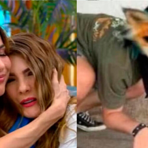 PRESENTADORA DE RCN REVELÓ QUE SUS HIJOS SON THERIANS; “PARA MÍ COMO MAMÁ NO ES FÁCIL”