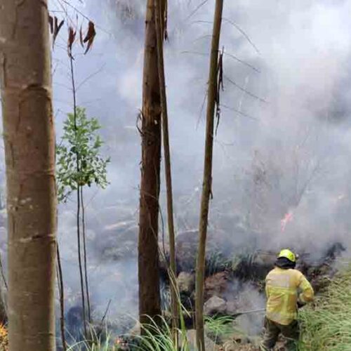 INCENDIO DE VEGETACIÓN ARRASÓ 4.000 M² EN LA CALERA; BOMBEROS DE LATACUNGA LOGRARON CONTROLARLO A TIEMPO