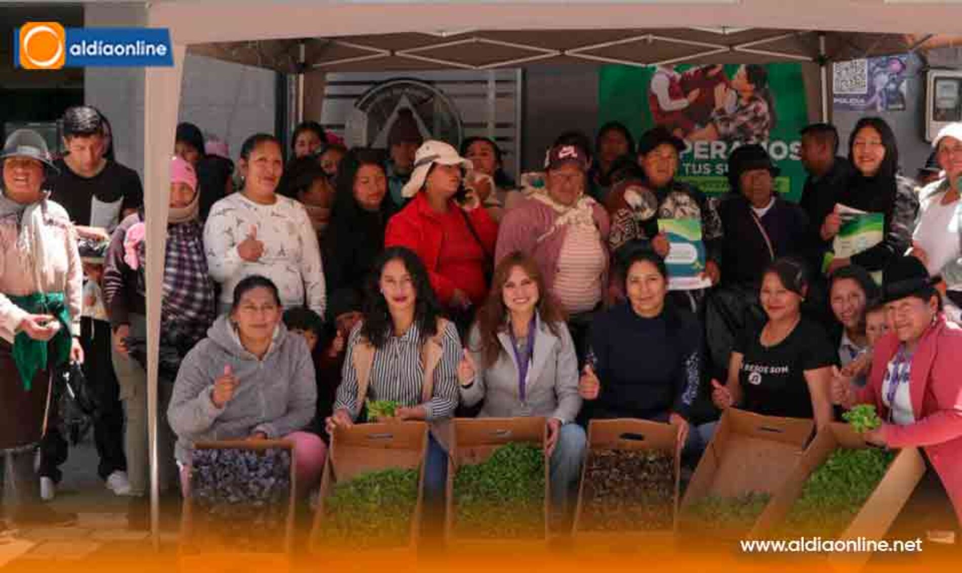 HUERTOS SALUDABLES Y EDUCACIÓN FINANCIERA IMPULSAN COAC SAN MIGUEL DE SIGCHOS Y MINISTERIO DE INCLUSIÓN SOCIAL