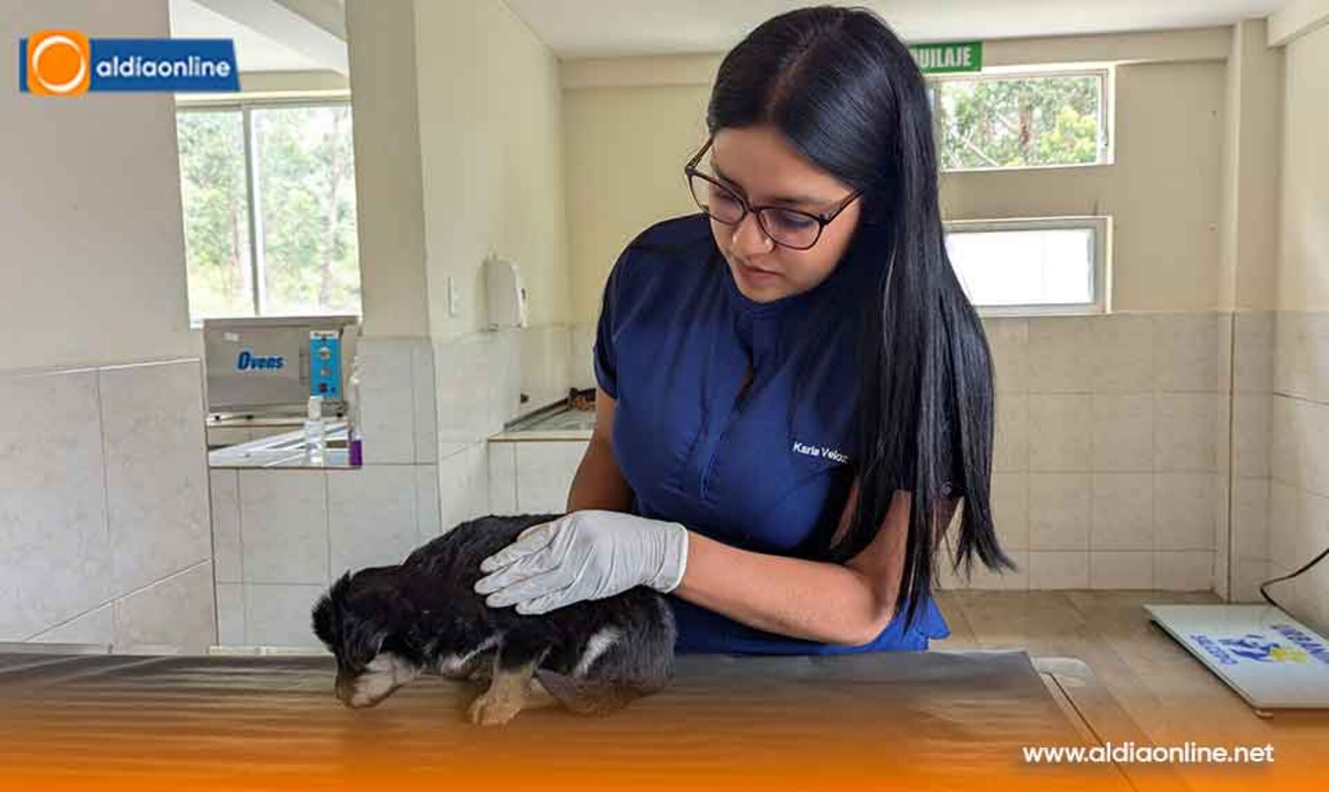 ALCALDÍA DE SALCEDO CONTINÚA TRABAJANDO POR LA FAUNA URBANA