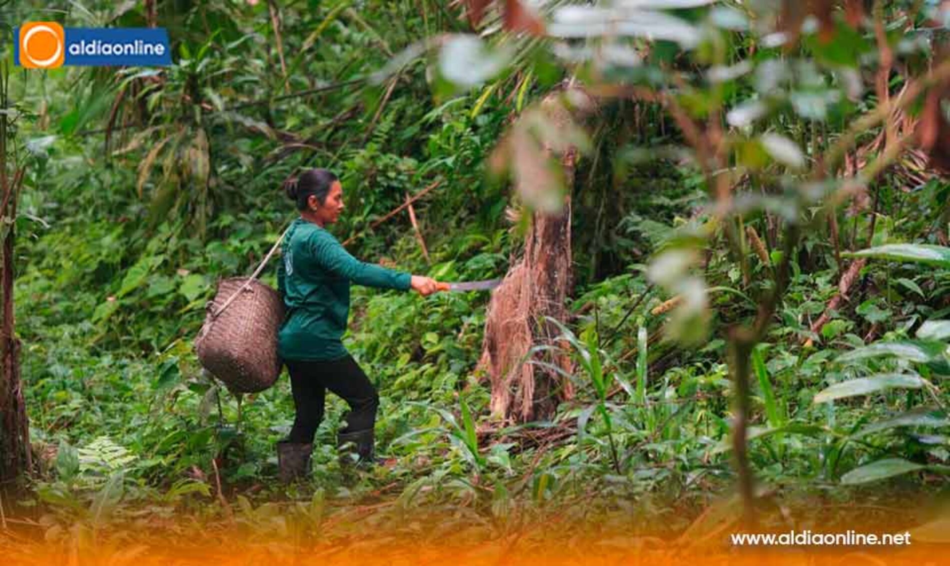 MÁS DE 23,6 MILLONES DE DÓLARES ENTREGA EL GOBIERNO NACIONAL EN INSUMOS PARA MEJORAR LA PRODUCCIÓN AGRÍCOLA