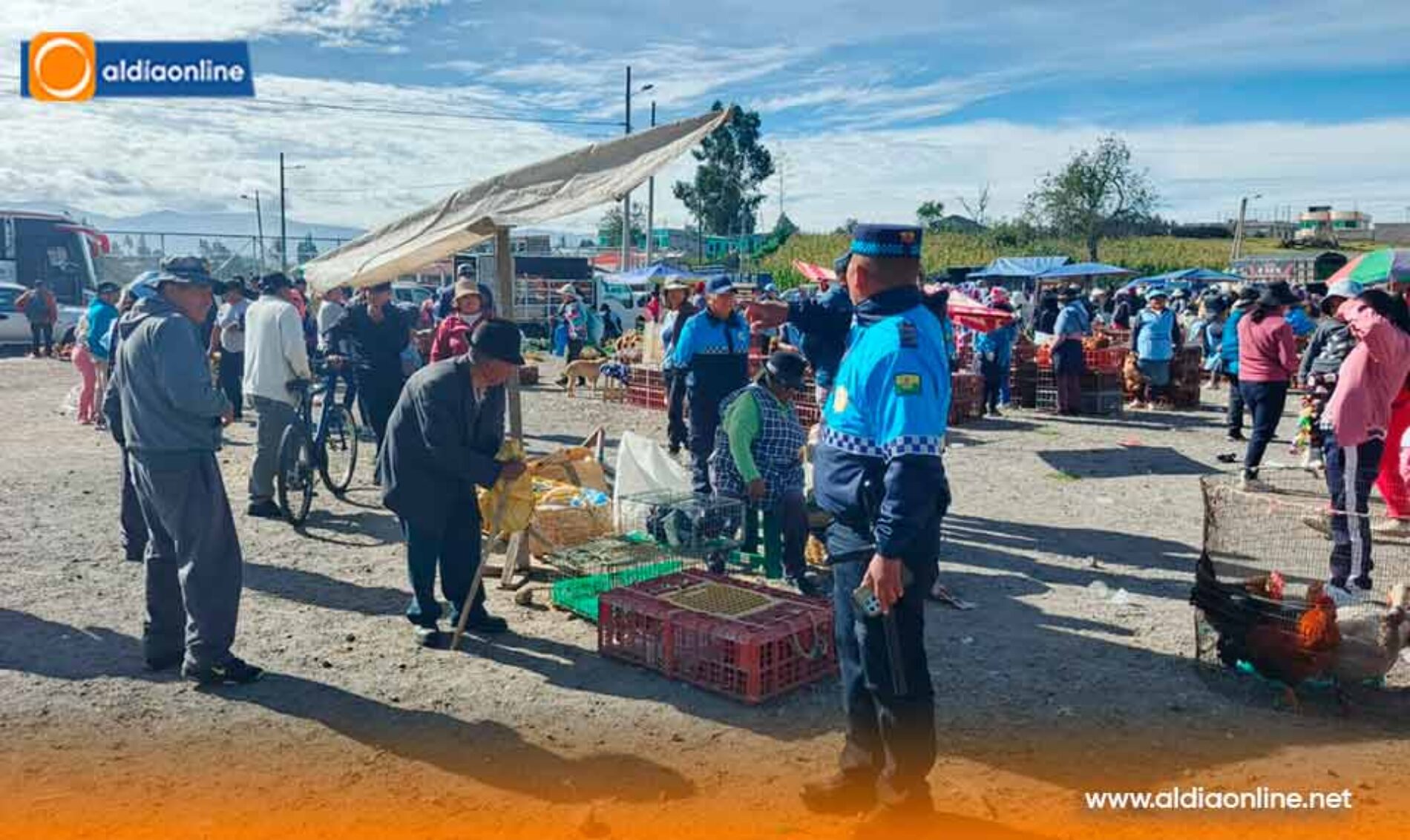 MUNICIPIO DE SAQUISILÍ EJECUTA OPERATIVOS DE CONTROL ANTE SUSPENSIÓN TEMPORAL DE COMERCIALIZACIÓN DE ANIMALES MENORES