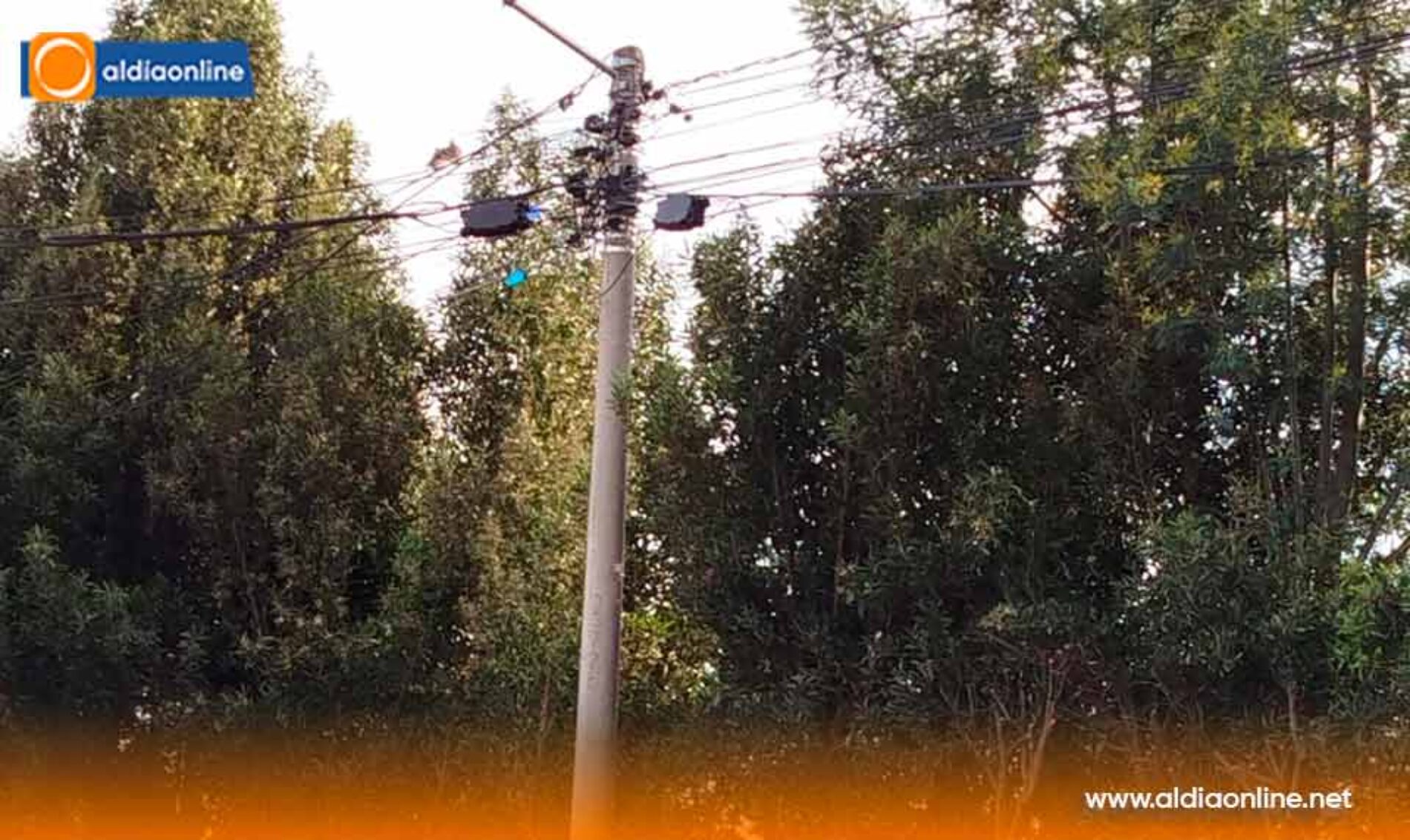 ENTRE RAMAS Y CABLES ACERA INSEGURA GENERA ALARMA EN SAQUISILÍ