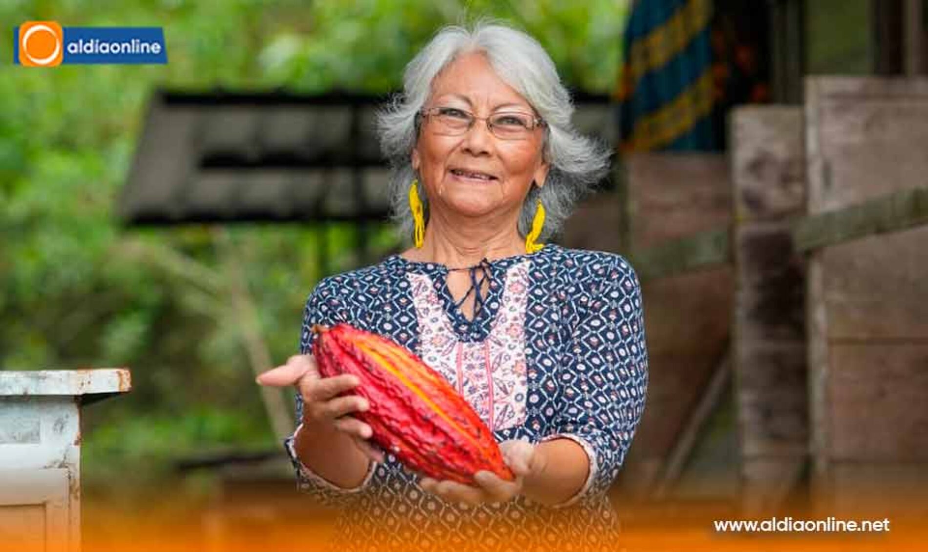 NOBOA IMPULSA LABORATORIOS VIVIENTES DE CACAO REGENERATIVO, JUNTO A FAO Y CBA, PARA FORTALECER LA BIOECONOMÍA DEL SECTOR