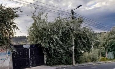 ENTRE RAMAS Y CABLES ACERA INSEGURA GENERA ALARMA EN SAQUISILÍ