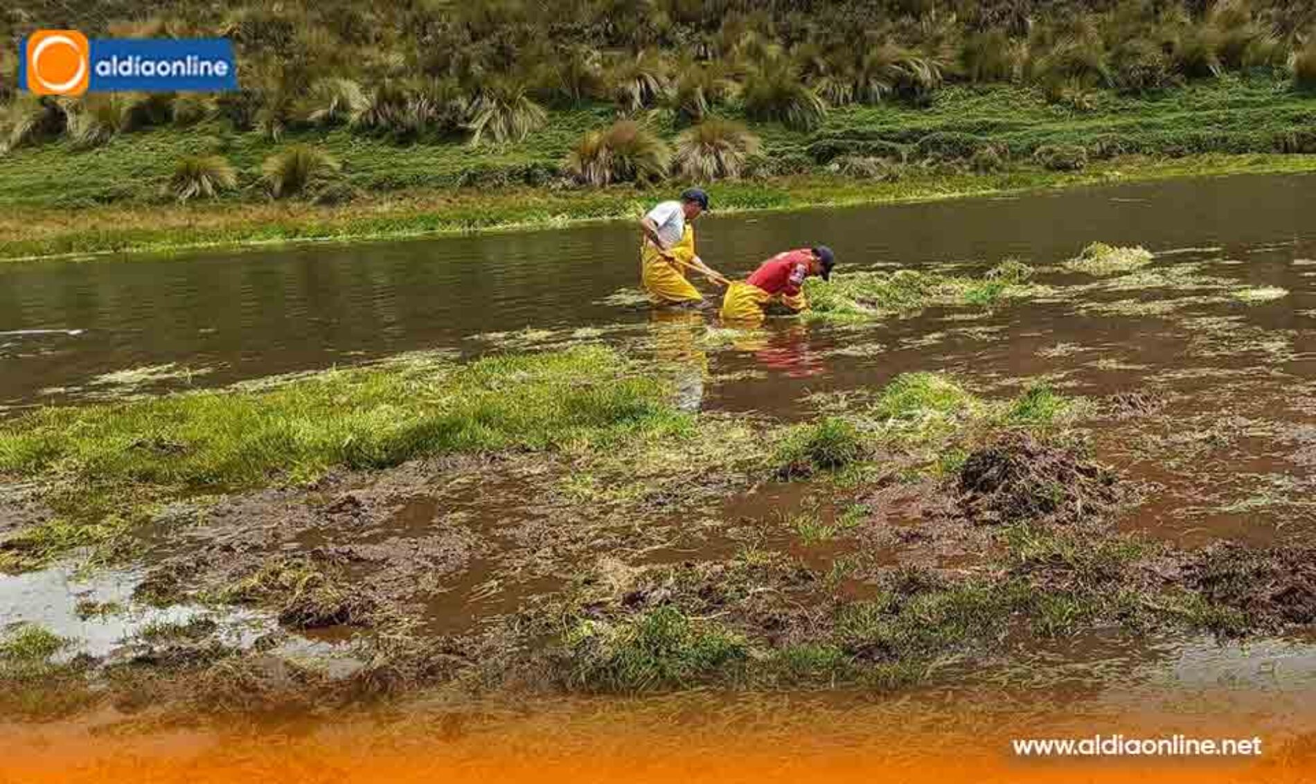 BOMBEROS DE LATACUNGA SE SUMARON A LA MINGA DE LIMPIEZA RESTAURACIÓN EN LOS MANANTIALES DEL PARQUE NACIONAL COTOPAXI