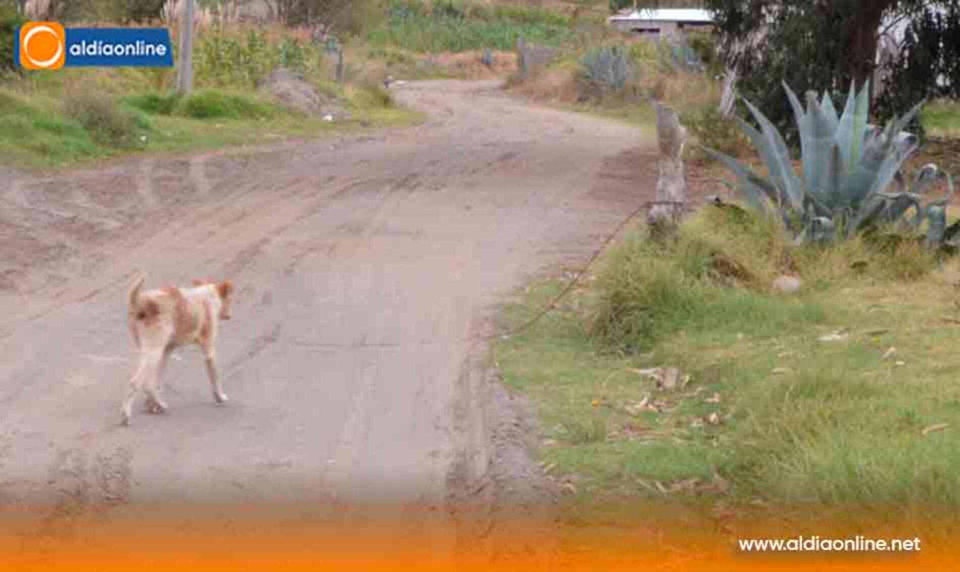 CON UNA INVERSIÓN CERCANA A LOS 100 MIL DÓLARES ARRANCÓ ADOQUINADO EN CANCHAGUA (Video)