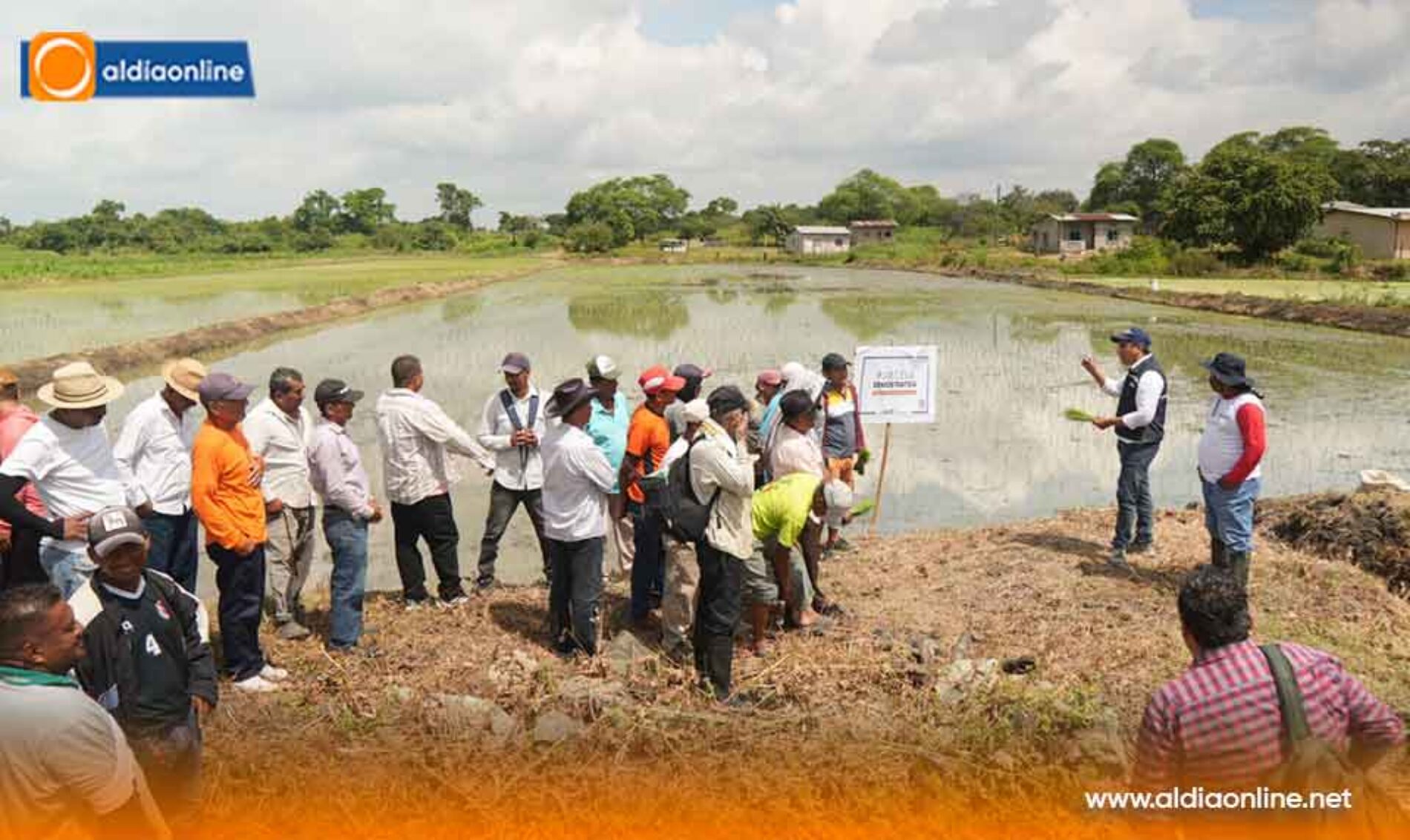 GOBIERNO DE DANIEL NOBOA IMPULSA 391 PARCELAS DEMOSTRATIVAS PARA FORTALECER LA PRODUCTIVIDAD AGRÍCOLA