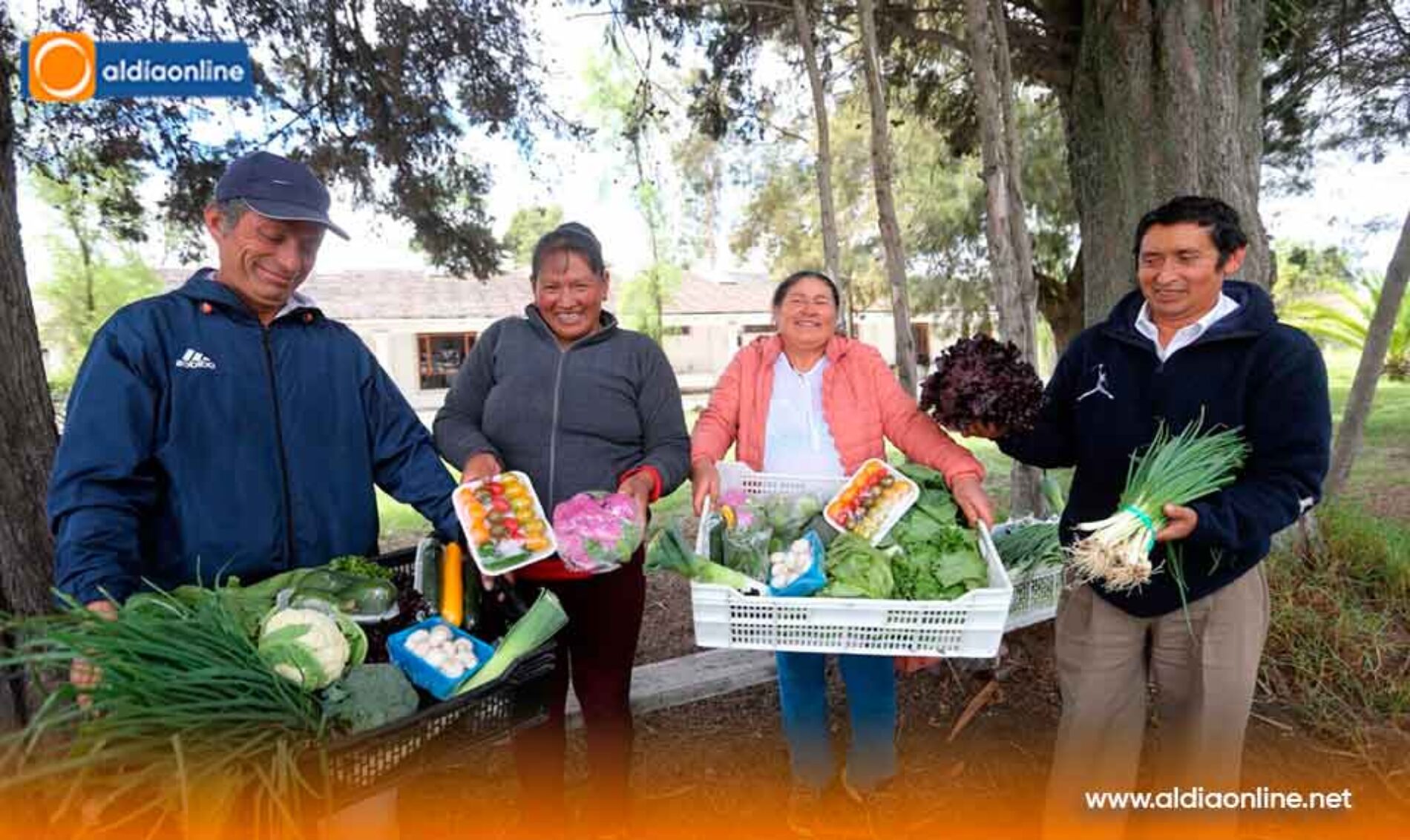 82 MIL PRODUCTORES INSCRITOS EN EL REGISTRO DE LA AGRICULTURA FAMILIAR CAMPESINA