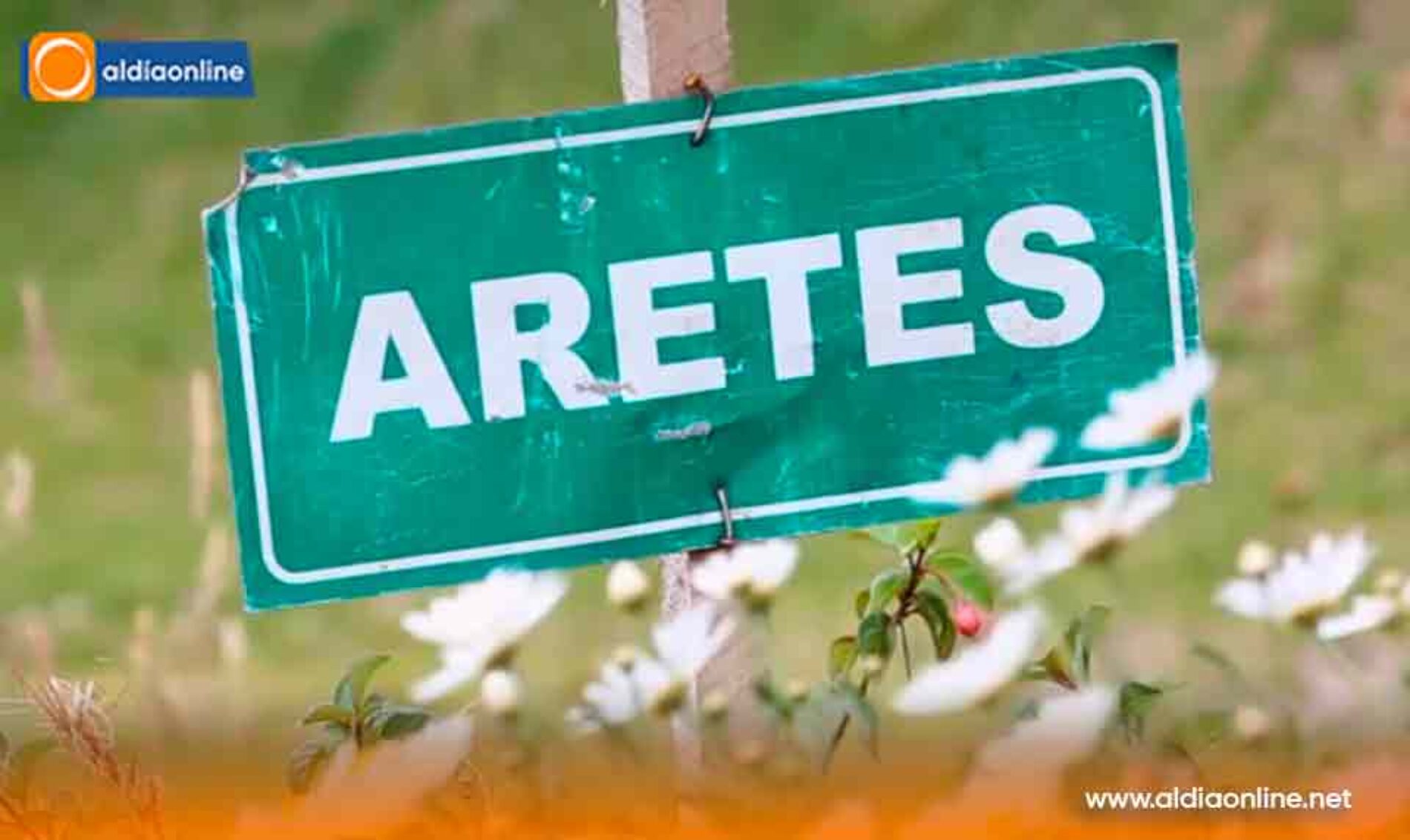 VIVERO MUNICIPAL DE LATACUNGA IMPULSA LA REFORESTACIÓN Y EL EMBELLECIMIENTO DE BARRIOS Y COMUNIDADES