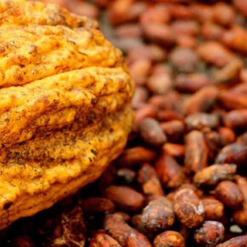GOBIERNO IMPULSA LA DIVERSIFICACIÓN AGRÍCOLA PARA AMPLIAR LA OFERTA EXPORTABLE DEL ECUADOR
