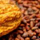 GOBIERNO IMPULSA LA DIVERSIFICACIÓN AGRÍCOLA PARA AMPLIAR LA OFERTA EXPORTABLE DEL ECUADOR