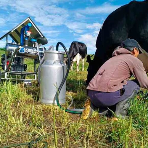 GOBIERNO DE NOBOA IMPULSA LA  AGRICULTURA FAMILIAR CAMPESINA