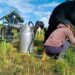 GOBIERNO DE NOBOA IMPULSA LA  AGRICULTURA FAMILIAR CAMPESINA