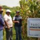 GOBIERNO DE DANIEL NOBOA IMPULSA 391 PARCELAS DEMOSTRATIVAS PARA FORTALECER LA PRODUCTIVIDAD AGRÍCOLA